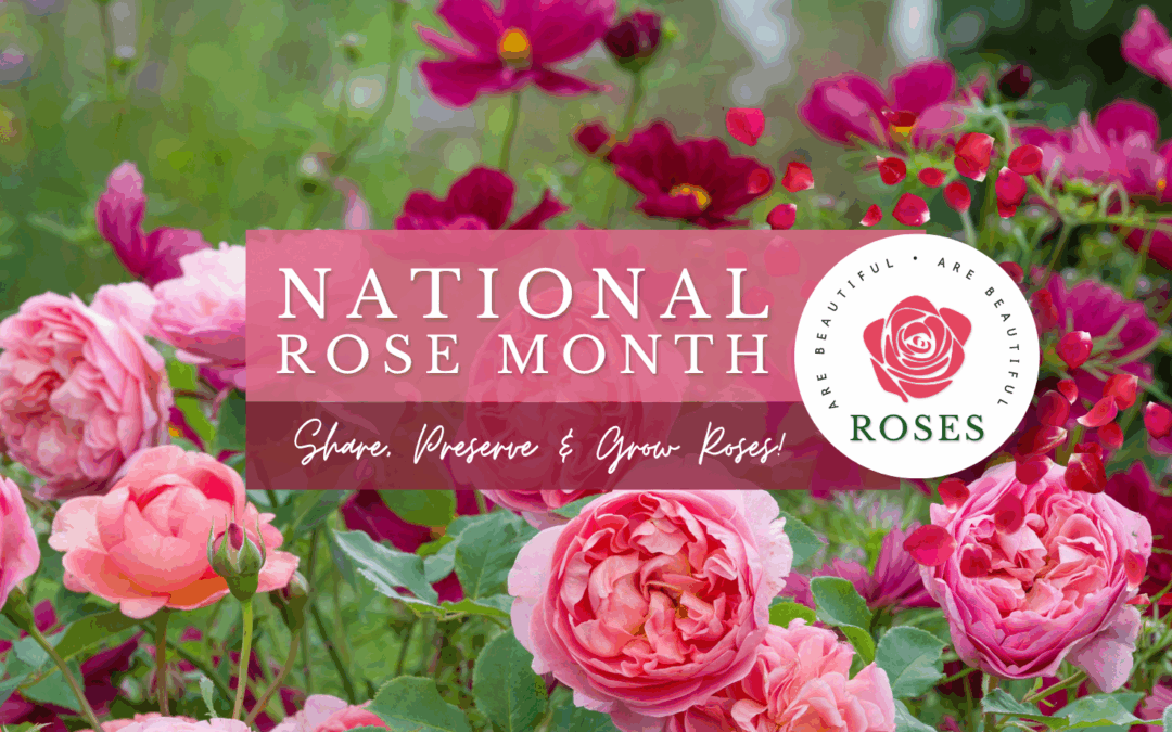 National Rose Month
