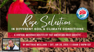 Rose Selection Webinar